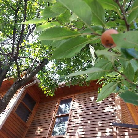 Persimmon Inn 布卢明顿 外观 照片