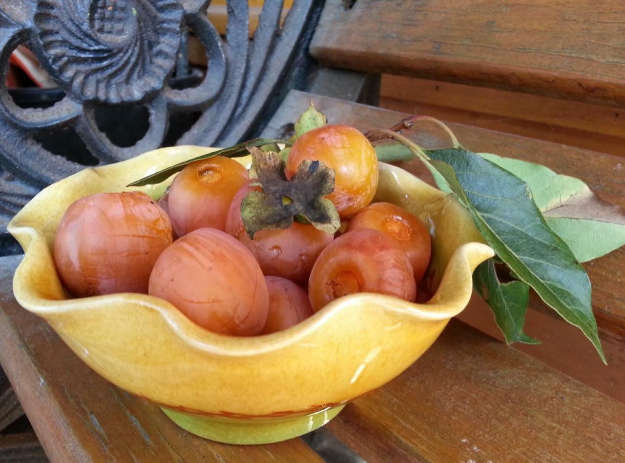Persimmon Inn 布卢明顿 外观 照片