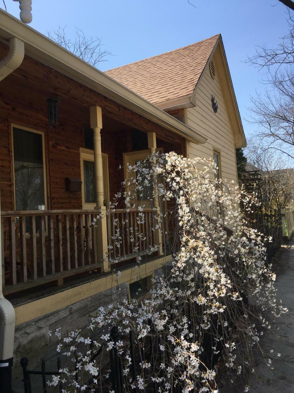 Persimmon Inn 布卢明顿 外观 照片