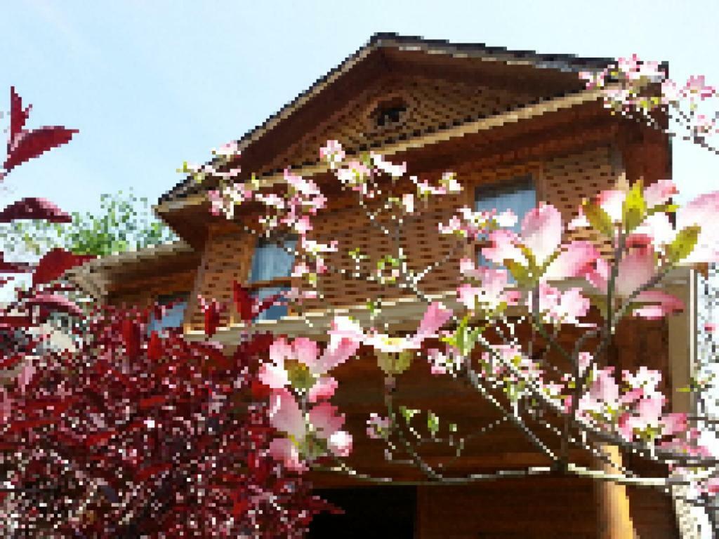 Persimmon Inn 布卢明顿 外观 照片